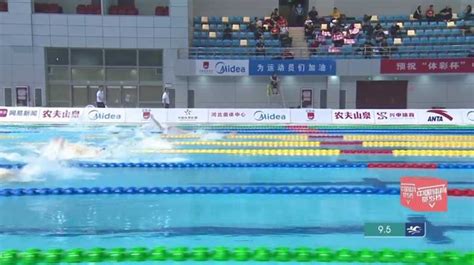 直播回看丨中国游泳争霸赛石家庄站第三比赛日决赛_新体育网