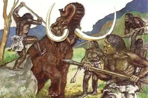 科学解释: 为什么原始人突然就吃起肉来了呢?|原始人|科学|动物_新浪新闻
