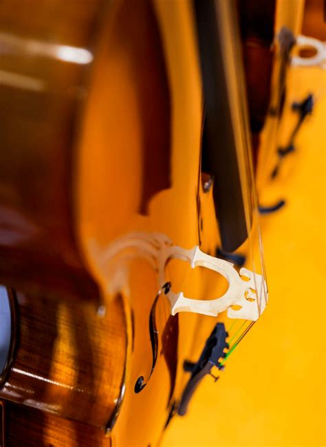 最适合成年人学习的5种乐器 - 神州乐器网新闻