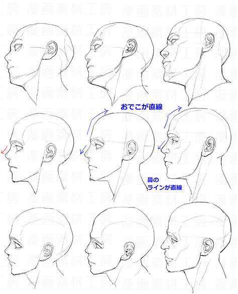 动漫绘画学习：动漫/漫画人物脸型画法及脸部结构比例 - 知乎