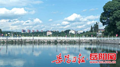 岳阳县荣家湾镇保护洞庭湖生态见闻 - 岳阳 - 华声文旅 - 华声在线