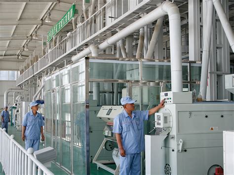 大米加工成套设备_河南中瑞粮油机械设备厂家