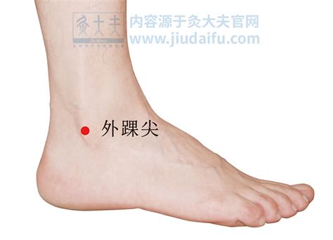 脚踝位置图图片