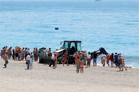 视觉 _ 3米长鲸鱼尸体被冲上土耳其海滩 引人围观拍照