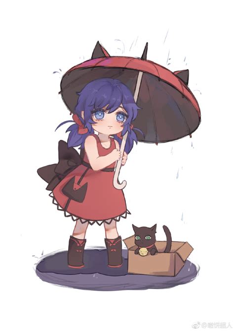 瓢猫图片