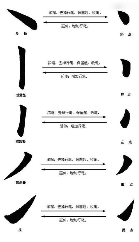 钢笔书法入门教学之汉字基本笔画示范讲解 - 知乎