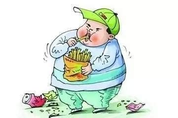 胖人就一定营养过剩吗 怎样改变胖却营养不良的情况 _八宝网