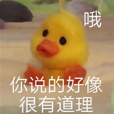 表情包(小黄鸭)图片