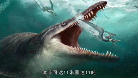 远古深海中的史前巨兽到底有多大？超乎你的想象！_腾讯视频