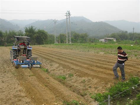 重磅！农业农村部部署加快推进设施种植机械化发展！_新农创投资运营平台