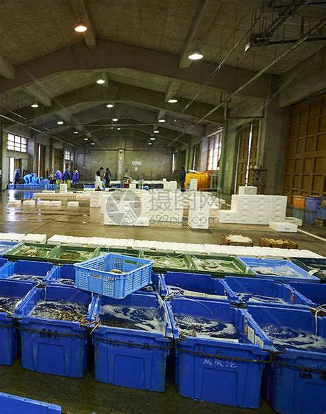 热烈祝贺城阳海鲜商城盛大开业 - 公司动态 - 青岛市城阳蔬菜水产品批发市场