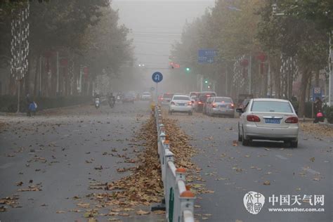新疆南部现大面积沙尘暴天气 道路能见度低_图片_中国小康网