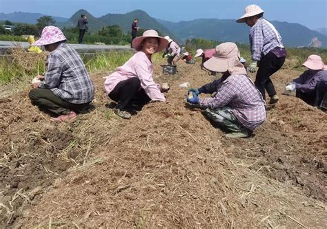 回首“现三街”古驿道-桂林生活网新闻中心