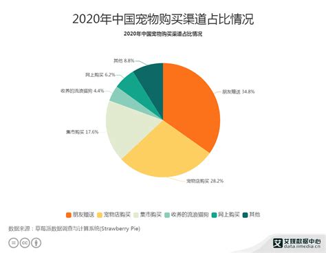 宠物行业数据分析：2020年中国28.2%宠物主在宠物店购买宠物__财经头条