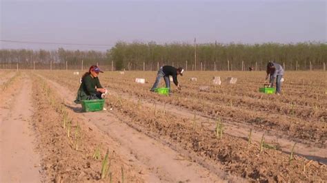 2020年中国农民专业合作社发展情况分析：农民专业合作社数量达19.25万个[图]_智研咨询