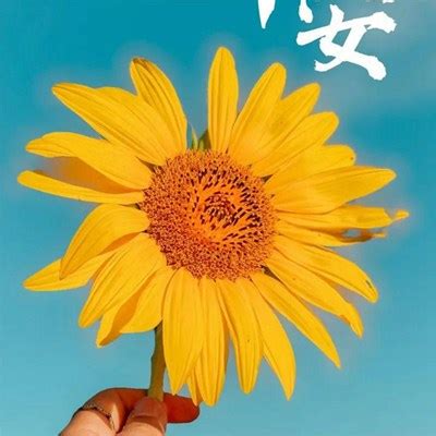 早安非主流头像