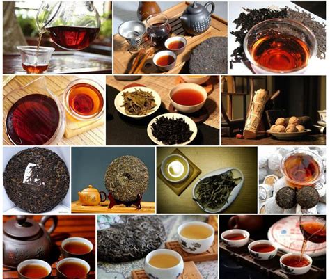 今日科普：普洱茶的家庭存储方式__凤凰网