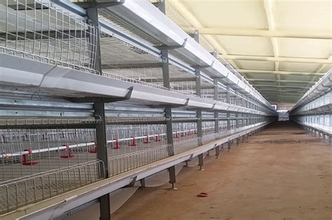 蛋鸡笼批发 自动化蛋鸡养殖笼 三层 蛋鸡笼层叠式 立式养鸡设备厂-阿里巴巴