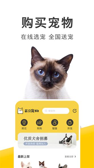 宠物商城App界面设计|UI|APP界面|洁洁liu - 临摹作品 - 站酷 (ZCOOL)