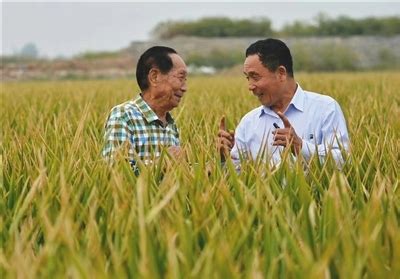 中科院院士、公司院士工作站首席专家谢华安在公司水稻育种基地_江西省江天农业科技有限公司