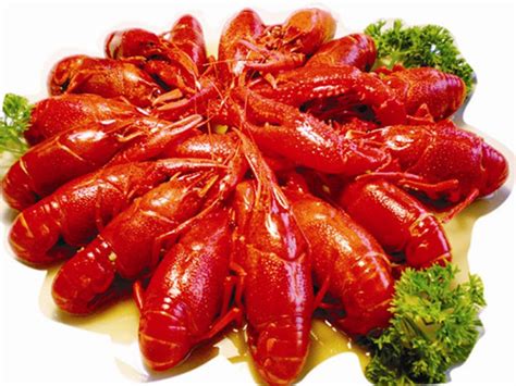 潜江油焖大虾,中国菜系,食品餐饮,摄影素材,汇图网www.huitu.com