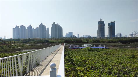 冯家江湿地公园码头已建好，何时开通游艇旅游线令人期待-北海时事开讲-北海365网(beihai365.com)