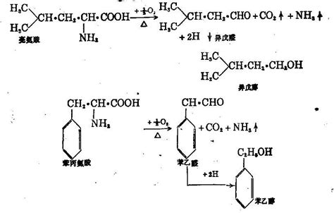 139-13-9_氨三乙酸CAS号:139-13-9/氨三乙酸中英文名/分子式/结构式 – 960化工网