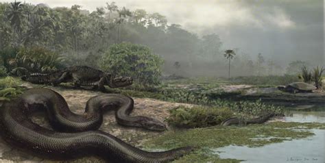 远古最可怕的三大巨蛇：(白垩纪巨蛇/泰坦蟒/非洲巨蟒)_奇趣解密网
