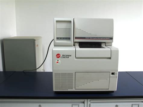 多重荧光PCR毛细电泳片段分析技术研究与临床应用_临床实验室_期刊文章_检验视界网