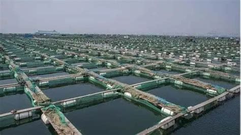 工业化水产养殖水处理解决方案-西安天浩环保