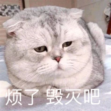 疯了表情包图片