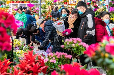 呼和浩特：鲜花俏销迎新春-人民图片网