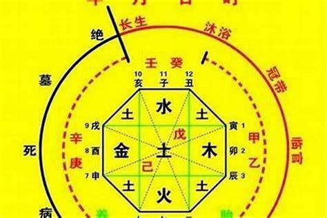 如何判断喜用神和忌神？如何知道自己八字忌什么_八字_若朴堂文化