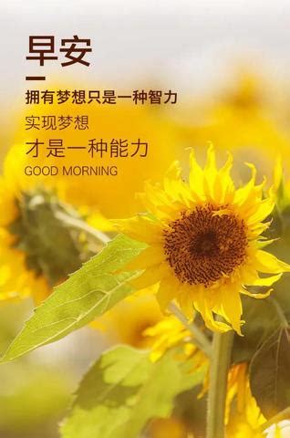 早安简短祝福语,早安问候语,简洁的早上好祝福语_大山谷图库