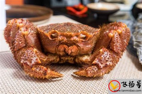 世界上最大的螃蟹：巨螯蟹（重量可达20千克）-飞扬号