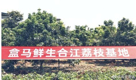 合江县荔江镇：“五进”为载体 “六到位”织密森林防灭火安全网