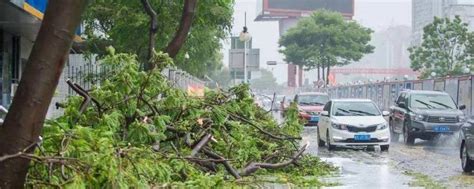 安徽将有10级雷暴大风 如何预防雷暴大风天气 _八宝网