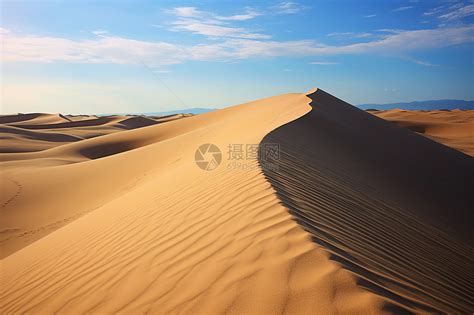 沙丘沙滩 的图像结果