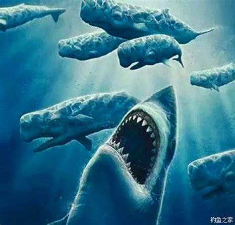 史上最恐怖的鱼类：虎鱼口大牙齿锋利（至少吃了500人）_小狼观天下