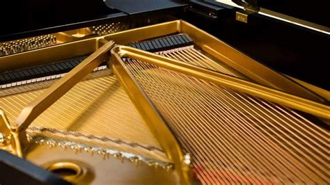 一篇文章带你认识钢琴的基本结构有哪些构成 | 说明书网