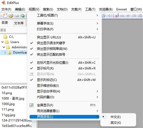 phpstorm怎么调中文版 - 问答 - 亿速云