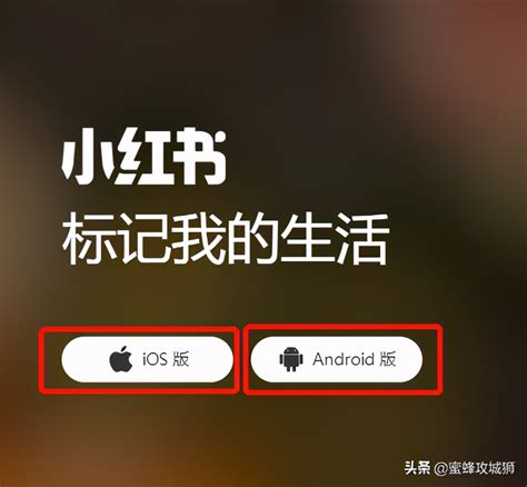小红书app下载-小红书下载手机版7.6.0 安卓正式版-东坡下载