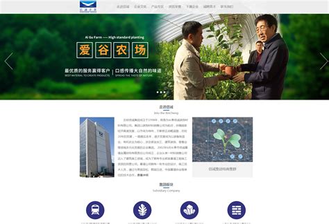 长春网站推广_长春网站制作-长春盈信网络科技公司