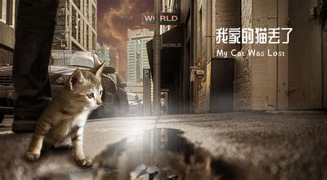 救助被扔进油漆桶的小猫_高清1080P在线观看平台_腾讯视频