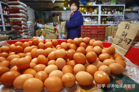 富硒鸡蛋多少钱一斤（2020年7月13日全国鸡蛋价格最新行情及走势分析） - 羊城网