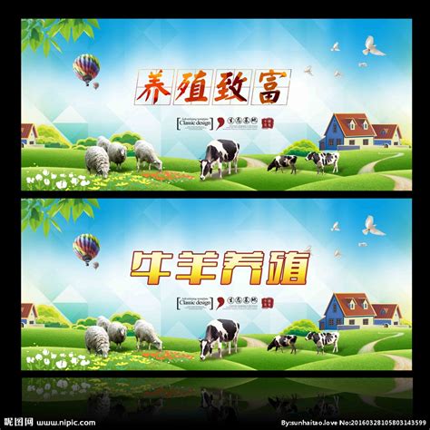 生态养殖 牛羊设计图__展板模板_广告设计_设计图库_昵图网nipic.com
