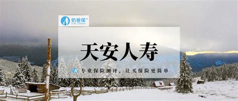 天安人寿保险公司介绍47页.ppt - 中汇人寿 -万一保险网