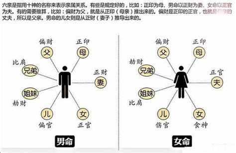 十神表查询图图片