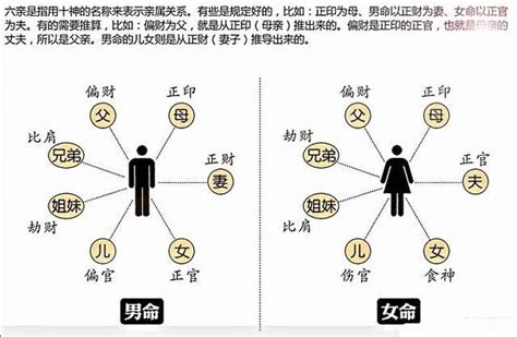 八字十神的30种组合解密及5项推命技巧介绍_八字爱好者