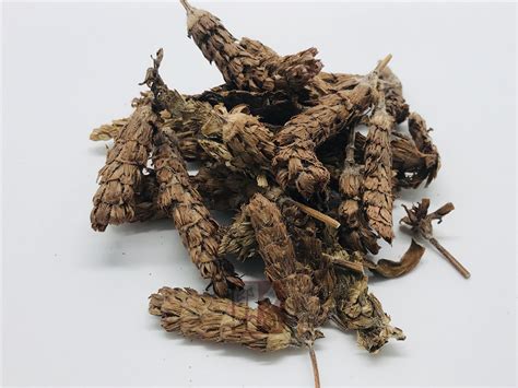 碎石草药大全图片
